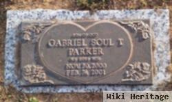 Gabriel Soul T Parker