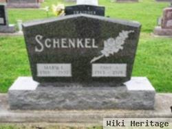 Paul A Schenkel