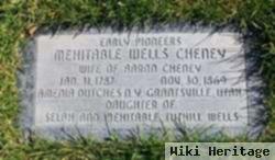 Mehitable Wells Cheney