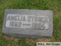 Amelia Strock