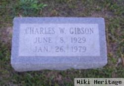 Charles W Gibson