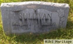 Nicholas J Sullivan