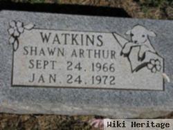 Shawn Arthur Watkins