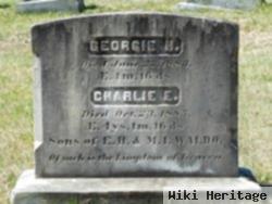 George H. "georgie" Waldo