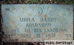 Shula Hardy