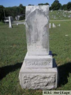 Anne Elizabeth Walker Swaney