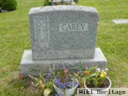 Robert J Carey