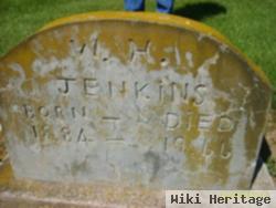 William H Jenkins