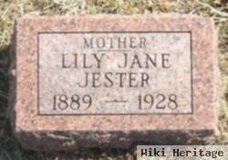 Lily Jane Jester