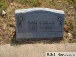 Mary Elizabeth Arnold Fallis