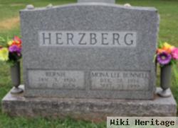 Bernie Herzberg