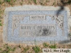 Mary Ann Preece Phillips