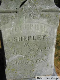 Joseph H Shepley