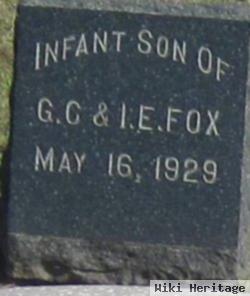 Infant Fox