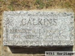 Ralph Theodore Calkins