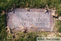 David Louis Quinn