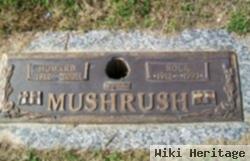 Howard Mushrush