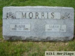 Sarah E. Morris