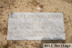 Bertice Theodore Kinsey