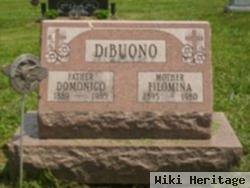 Dominico Dibuono