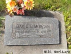 David E. Morgan