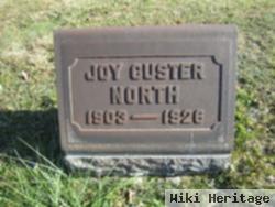 Joy Custer North