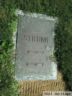 Anna M Strunk