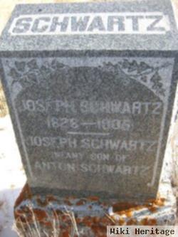 Joseph Schwartz