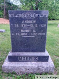 Nancy Caroline Matney Morris