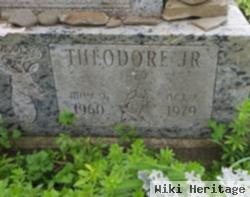 Theodore Albert "fred" Gohl, Jr