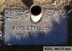 Alice Janet Cross Trebilcock