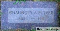 Chauncey Arthur Pulver