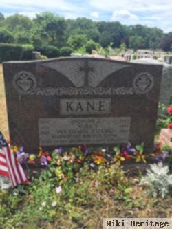 Anthony J Kane