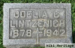 Odelia Schmitt Lintzenich