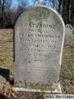 Catherine Swords Ensminger