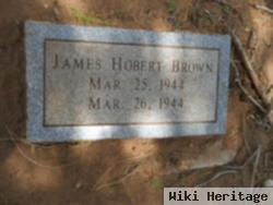 James Hobert Brown