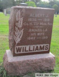 Albert J. Williams