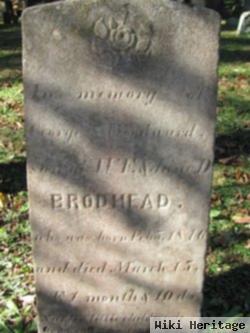 George Woodward Brodhead