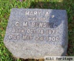 Mary A Rodearmel Bensing