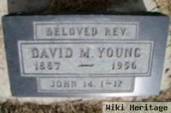 David M Young