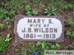 Mary S. Hinson Wilson