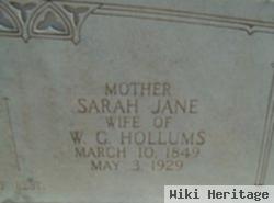 Sarah Jane Peek Hollums