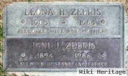 Leona Helen Horn Zebris