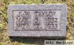 J W Taylor