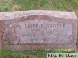 Diane E Costlow Ginther