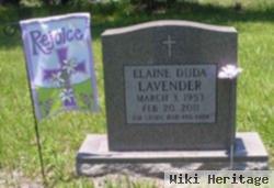 Elaine Duda Lavender