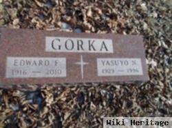 Yasuyo N. Gorka