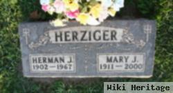 Mary J Suscha Herziger