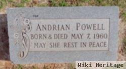 Andrian Powell