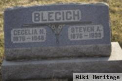 Steven A. Blecich